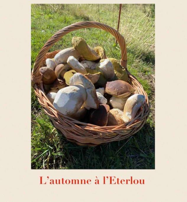 Targassonne L'Eterlou Authentique Partie De Corps De Ferme 10Pers.ヴィラ エクステリア 写真